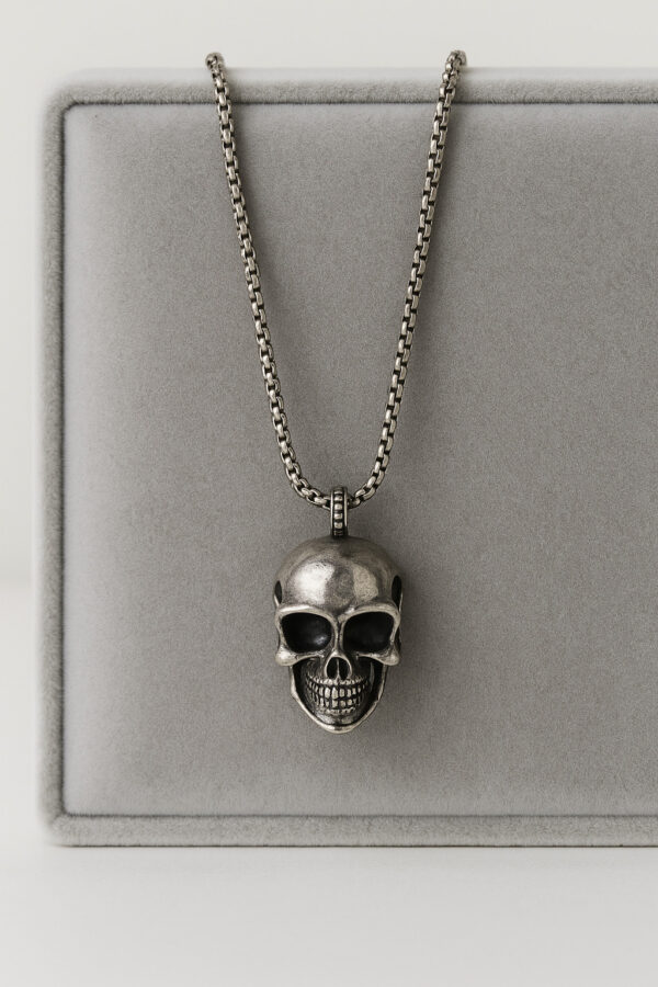 Aarvx Men's Skull Pendant Necklace